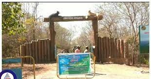 ಏಷ್ಯಾದಲ್ಲೇ‌ ಅತಿ ಹೆಚ್ಚು ಗಾಳಿ‌ ಬೀಸುವ ಎರಡನೇ ಪ್ರದೇಶ : ಚಿತ್ರದುರ್ಗದ 'ಜೋಗಿಮಟ್ಟಿ' ಗಿರಿಧಾಮ