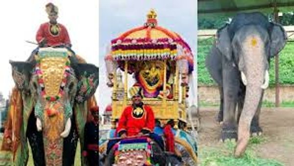ವಿಜೃಂಭಣೆಯಿಂದ ಜರುಗಿದ ಜಂಬೂಸವಾರಿ : 6ನೇ ಬಾರಿ ಅಂಬಾರಿಯನ್ನು ಹೊತ್ತು ಸಾಗಿದ ಅಭಿಮನ್ಯು