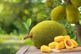 ಜುಲೈ 4 : 'ವಿಶ್ವ ಹಲಸಿನ ದಿನ'