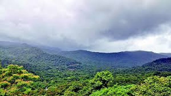 ಭೀಮಗಢ ಪರಿಸರ ಸೂಕ್ಷ್ಮ ಪ್ರದೇಶ