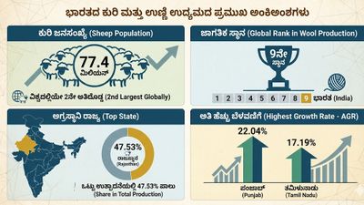 ಉಣ್ಣೆ ಉತ್ಪಾದನೆ: ರಾಜಸ್ಥಾನಕ್ಕೆ ಅಗ್ರಸ್ಥಾನ, ಜಗತ್ತಿನಲ್ಲಿ ಭಾರತಕ್ಕೆ 9ನೇ ಸ್ಥಾನ