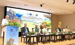 ಅಂತರರಾಷ್ಟ್ರೀಯ ಹುಲಿ ಭೂದೃಶ್ಯ ಕಾರ್ಯಾಗಾರ 2026