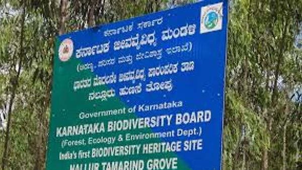 ಕರ್ನಾಟಕ ಜೀವವೈವಿಧ್ಯ ಮಂಡಳಿ ನೇಮಕಾತಿ 2025: ಸಲಹೆಗಾರ (ಸಸ್ಯಶಾಸ್ತ್ರ) ಹುದ್ದೆಗೆ ಅರ್ಜಿ ಆಹ್ವಾನ