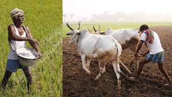 ಭಾರತದ ರೈತ ಭರೋಸಾ ಕೇಂದ್ರಗಳು
