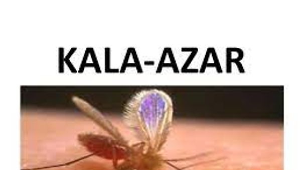 ಭಾರತವು 2023 ರಲ್ಲಿ ಕಾಲಾ ಅಜರ್ ಎಲಿಮಿನೇಷನ್ ಗುರಿಯನ್ನು ಸಮೀಪಿಸಿದೆ