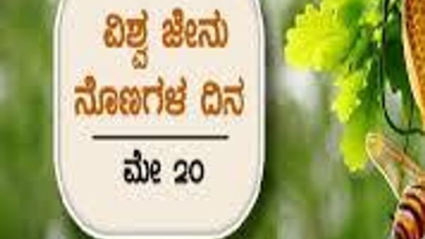 ಮೇ 20 ವಿಶ್ವ ಜೇನು ದುಂಬಿ ದಿನ