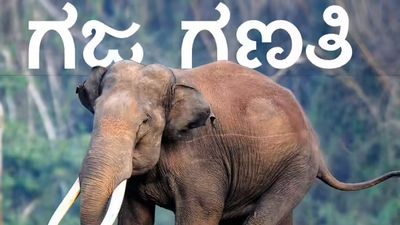 ತಮಿಳುನಾಡಿನಲ್ಲಿ ಕಾಡಾನೆಗಳ ಸಂಖ್ಯೆ ಎರಡು ವರ್ಷದ ನಿರಂತರ ವೃದ್ಧಿ