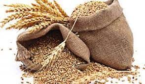 ಗೋಧಿ ರಫ್ತು ನಿಷೇಧಿಸಿದ ಕೇಂದ್ರ ಸರಕಾರ