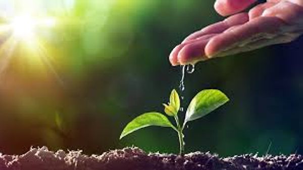 🌿 ಅಂತರಾಷ್ಟ್ರೀಯ ಪರಿಸರ ಸಂರಕ್ಷಣಾ ಒಕ್ಕೂಟ (ಐಯುಸಿಏನ್)