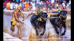 ರಾಜ್ಯ ಪ್ರವಾಸೋದ್ಯಮ ಇಲಾಖೆಯಿಂದ ಕಂಬಳಕ್ಕೆ 1 ಕೋಟಿ ರೂ. ಸಹಾಯಧನ ಬಿಡುಗಡೆ