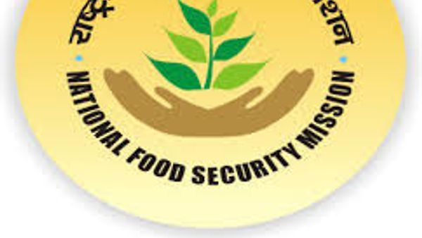 National Food Security Scheme has invited Application for recruiting various posts