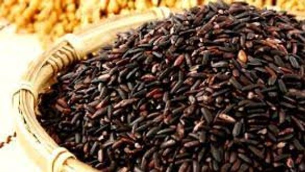 ಉತ್ತರ ಪ್ರದೇಶದಲ್ಲಿ ಕಲಾನಮಕ್ ಅಕ್ಕಿ (Kalanamak Rice) ಉತ್ಸವ ಪ್ರಾರಂಭ