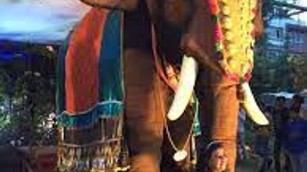 ಕೇರಳದ ದೇವಾಲಯಕ್ಕೆ ಎಲೆಕ್ಟ್ರಿಕ್ ಆನೆ