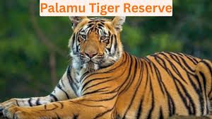 ವನಜೀವಿ ದೀದಿ ಉಪಕ್ರಮ: ಪಲಾಮು ಹುಲಿ ಸಂರಕ್ಷಿತ ಪ್ರದೇಶದ ಹೊಸ ಹೆಜ್ಜೆ