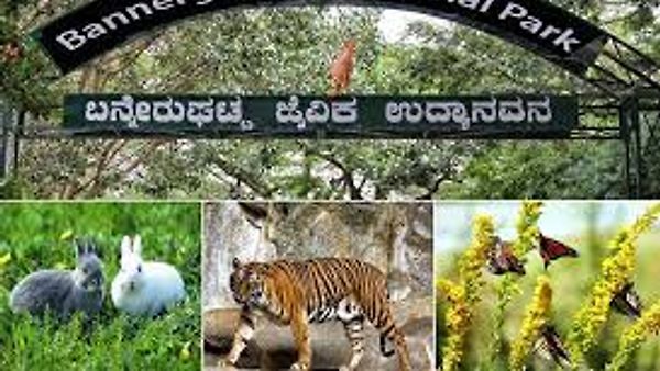 ಬನ್ನೇರುಘಟ್ಟ ರಾಷ್ಟ್ರೀಯ ಉದ್ಯಾನವನ ಜಗತ್ತಿನ ಎರಡನೇ ಅತಿ ದೊಡ್ಡ ಸ್ಲಾತ್ ಬೇರ್