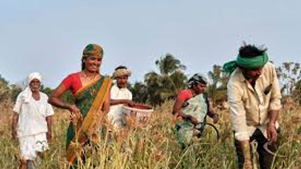 ಬೀಬಿ ಫಾತಿಮಾ ಸಂಘಕ್ಕೆ ಯುಎನ್‌ಡಿಪಿ “ಈಕ್ವೇಟರ್ ಇನಿಷಿಯೇಟಿವ್” ಗೌರವ