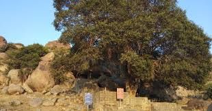 ಮಸ್ಕಿ: ಸಾಮ್ರಾಟ್ ಅಶೋಕ ಶಾಸನ ಸ್ಥಳ ಅಭಿವೃದ್ಧಿಗೆ ನಿರ್ಧಾರ
