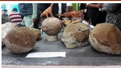 ಟಿಟೊನೊಸಾರಸ್ ನ 90 ಕ್ಕೂ ಅಧಿಕ ಗೂಡುಗಳ ತಾಣ ಪತ್ತೆ