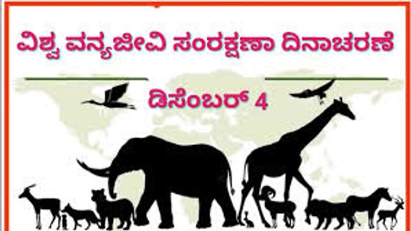 ಡಿಸೆಂಬರ್ 4 :  ವಿಶ್ವ ವನ್ಯ ಜೀವಿ ಸಂರಕ್ಷಣಾ ದಿನ