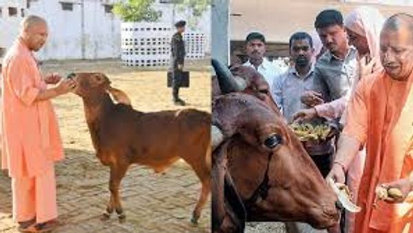 ಮಥುರಾದಲ್ಲಿ ದೇಶದ ಮೊದಲ 'ರಾಷ್ಟ್ರೀಯ ಗೋ ಸಂಸ್ಕೃತಿ ವಸ್ತುಸಂಗ್ರಹಾಲಯ' ಸ್ಥಾಪನೆ