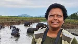 ಕಾಜಿರಂಗ ನಿರ್ದೇಶಕಿ ಸೋನಾಲಿ ಘೋಷ್‌ಗೆ ಜಾಗತಿಕ ಸುಸ್ಥಿರತೆ ಪ್ರಶಸ್ತಿ