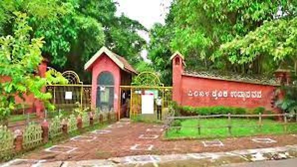 ಸಂತಾನೋತ್ಪತ್ತಿಯಲ್ಲಿ ದೇಶದಲ್ಲಿಯೇ ಟಾಪ್ 1 ಮಂಗಳೂರು ಪಿಲಿಕುಳ ಮೃಗಾಲಯ