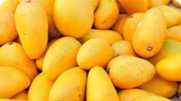 APEDA ಬಹ್ರೇನ್ನಲ್ಲಿ 'ಮಾವಿನ ಹಬ್ಬ'