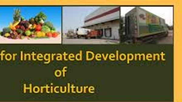ತೋಟಗಾರಿಕೆಯ ಸಮಗ್ರ ಅಭಿವೃದ್ಧಿಗೆ ಮಿಷನ್