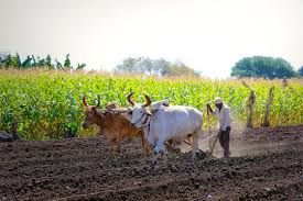 ಹಸಿರು ಕರುನಾಡು ಸರಕಾರದ ಸಂಕಲ್ಪ