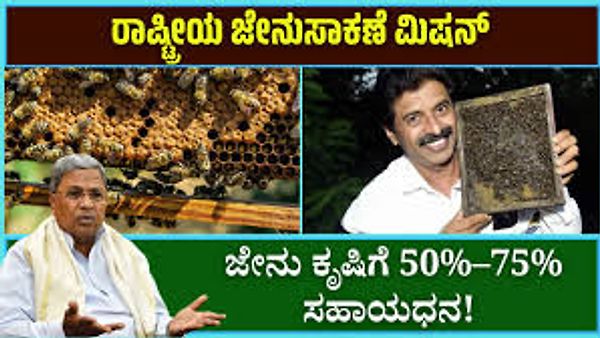 ರಾಷ್ಟ್ರೀಯ ಜೇನು ಸಾಕಾಣೆ ಮತ್ತು ಜೇನುತುಪ್ಪ
