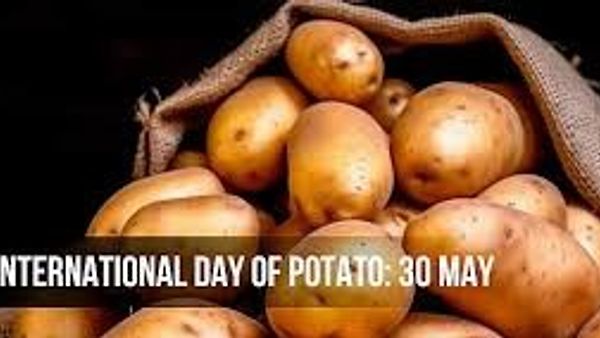 ಮೇ 30 ಅಂತರಾಷ್ಟ್ರೀಯ ಆಲೂಗಡ್ಡೆ ದಿನ