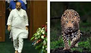 ಚಿರತೆ ದಾಳಿಯಿಂದ ಮೃತಪಟ್ಟ ಕುಟುಂಬಕ್ಕೆ15 ಲಕ್ಷ ಪರಿಹಾರ : CM ಬೊಮ್ಮಾಯಿ