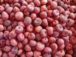 ಅಡಿಕೆ ಆಮದಿಗೆ ಉತ್ತೇಜನ ನೀಡಿದ ಕೇಂದ್ರ ಸರ್ಕಾರ
