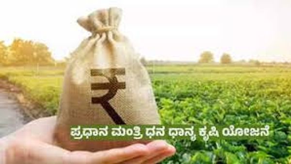 'ಪ್ರಧಾನ ಮಂತ್ರಿ ಧನ್ ಧಾನ್ಯ ಕೃಷಿ' ಯೋಜನೆಗೆ ಕೇಂದ್ರ ಸಂಪುಟ ಅನುಮೋದನೆ