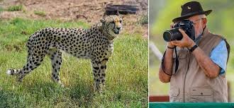 ಭಾರತಕ್ಕೆ ಆಗಮಿಸಿದ್ದ ಚೀತಾಗಳನ್ನು ರಾಷ್ಟ್ರೀಯ ಉದ್ಯಾನವನಕ್ಕೆ ಬಿಟ್ಟ ಪ್ರಧಾನಿ ನರೇಂದ್ರ ಮೋದಿ