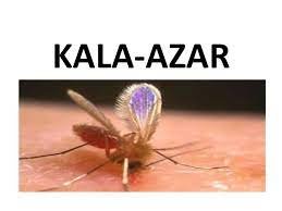 ಭಾರತವು 2023 ರಲ್ಲಿ ಕಾಲಾ ಅಜರ್ ಎಲಿಮಿನೇಷನ್ ಗುರಿಯನ್ನು ಸಮೀಪಿಸಿದೆ