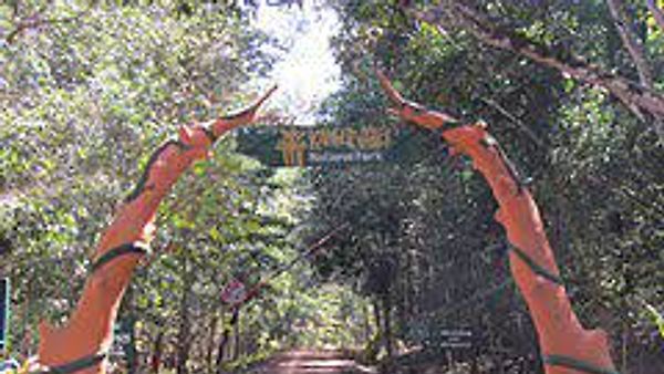 ಕಂಗೇರ್ ಘಾಟಿಯಲ್ಲಿ ಅರಣ್ಯ ಸಂಪತ್ತಿನ ಹಕ್ಕಿಗೆ ಮಾನ್ಯತೆ