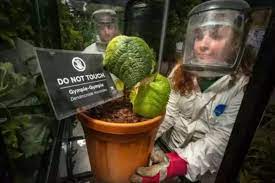 Image not found