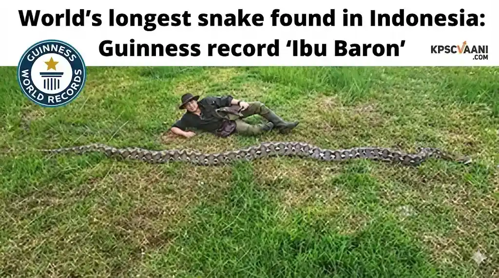 Image not found