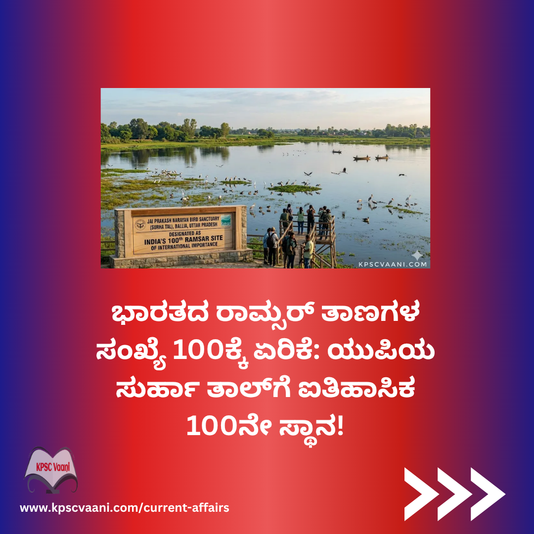 Image not found